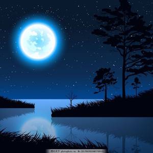 中国BBBBBBBBB毛毛
