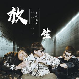 中国BBBBBBBBB毛毛
